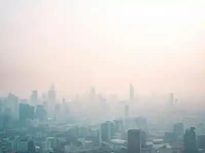 Soot Collaborative Task